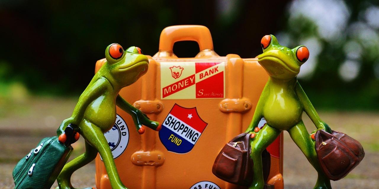 frog-991305_1280