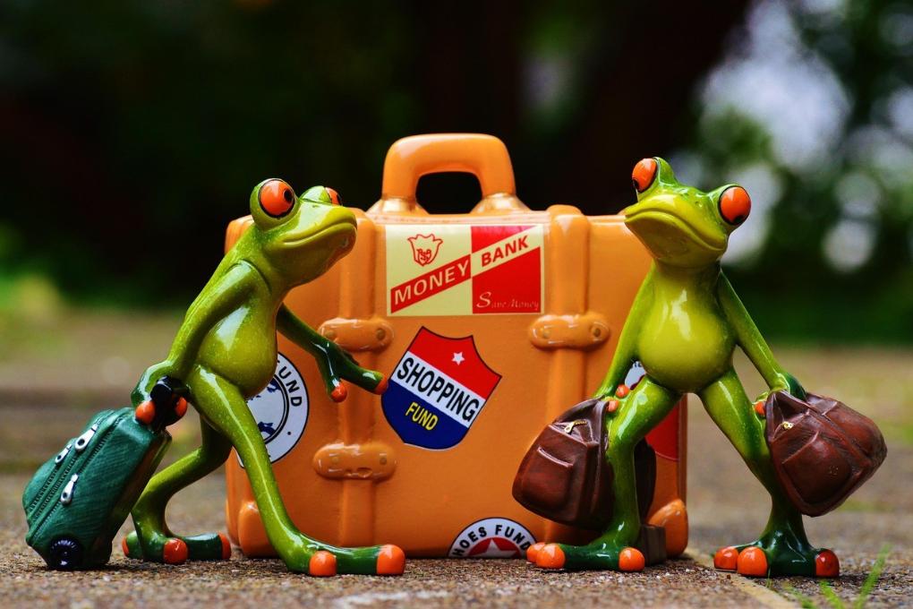frog-991305_1280