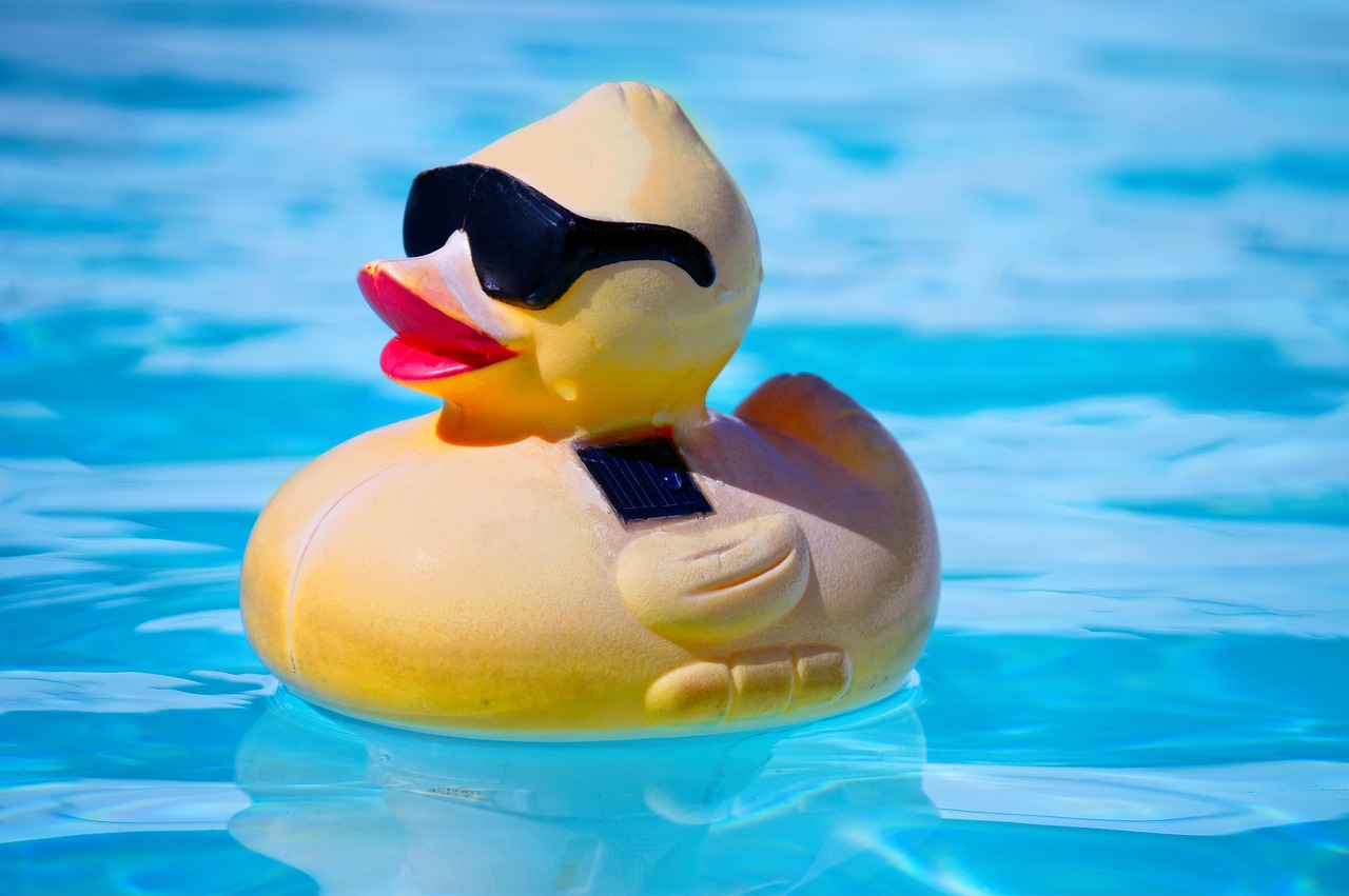 rubber-duck-4432703_1280
