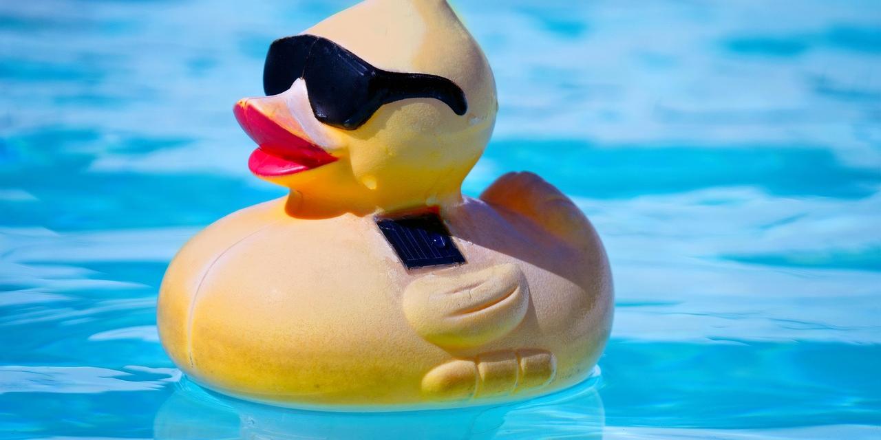 rubber-duck-4432703_1280