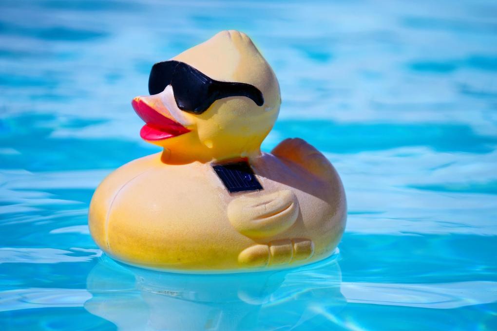 rubber-duck-4432703_1280