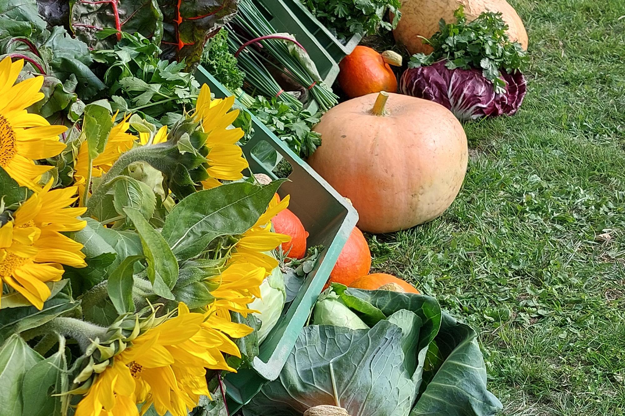 Erntedank Lörick