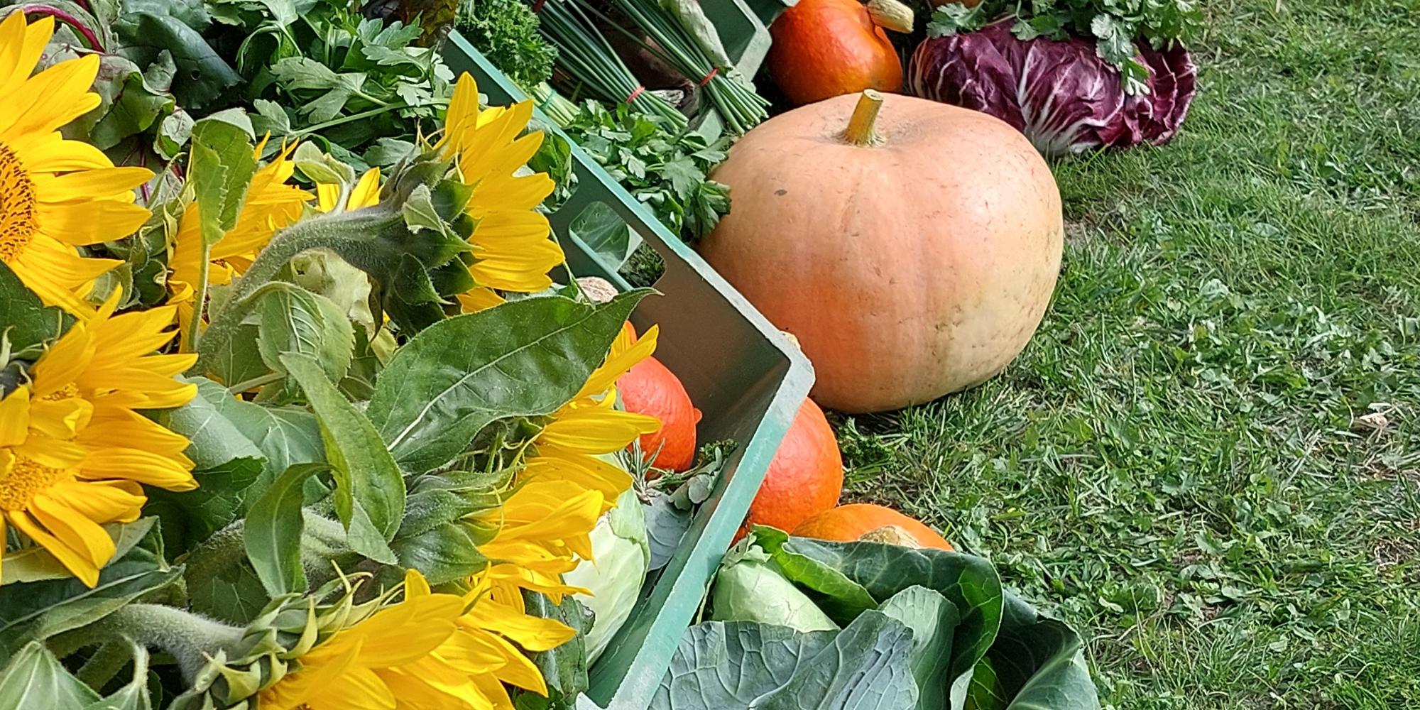 Erntedank Lörick