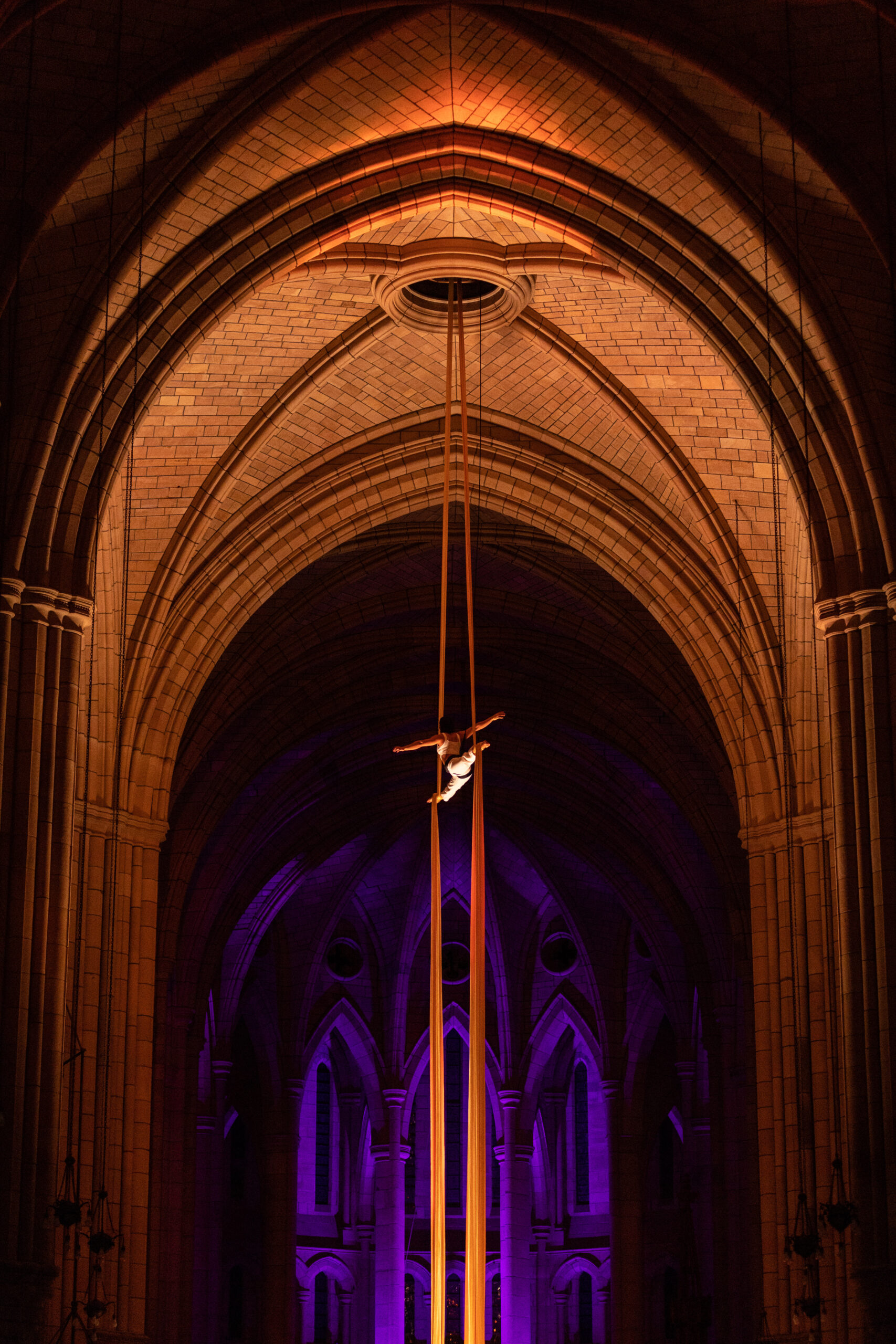 Eternity - Circa - David Kelly - 2026 (2)